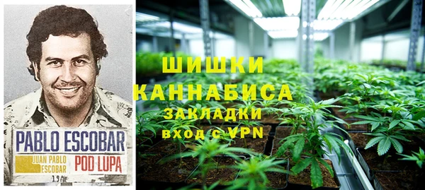 крисы Абаза