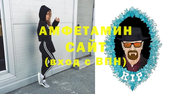 крисы Абаза