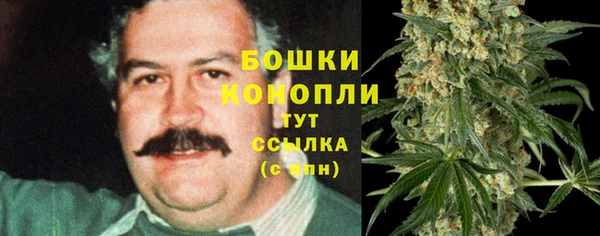 крисы Абаза